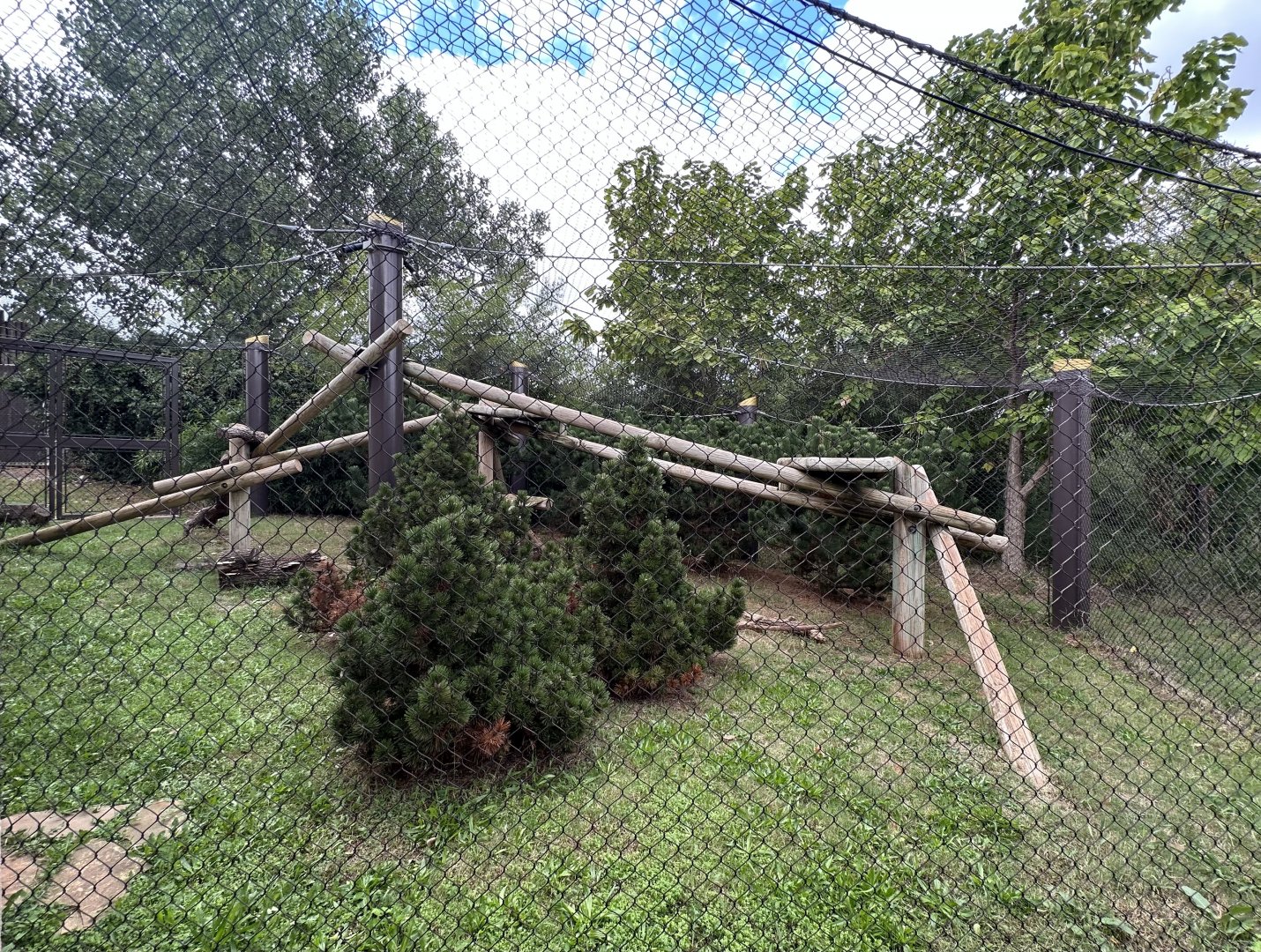 Sep. 2025 - Sanctuary Asia - Red Panda Enclosure