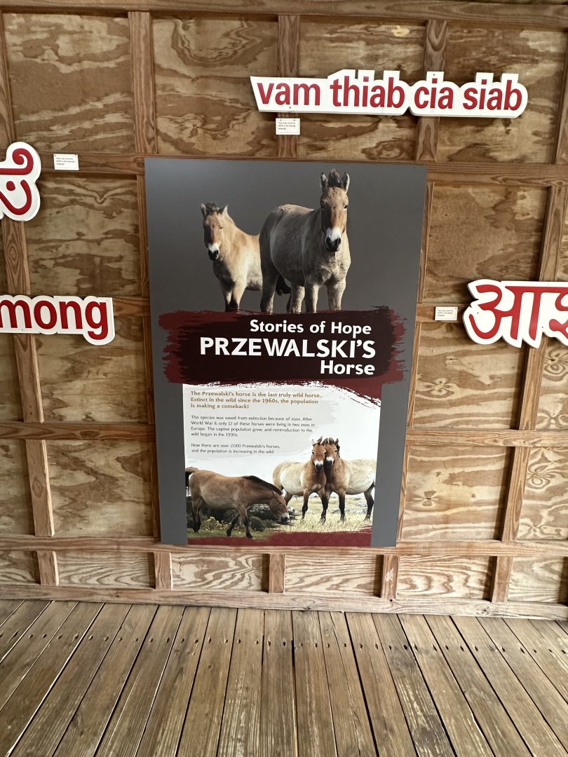 Sep. 2025 - Sanctuary Asia - “Stories of Hope” (2)