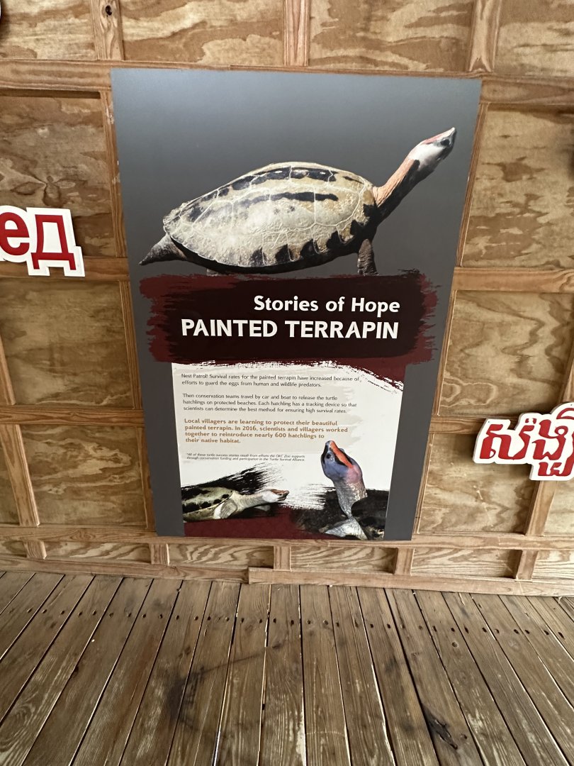 Sep. 2025 - Sanctuary Asia - “Stories of Hope” (4)