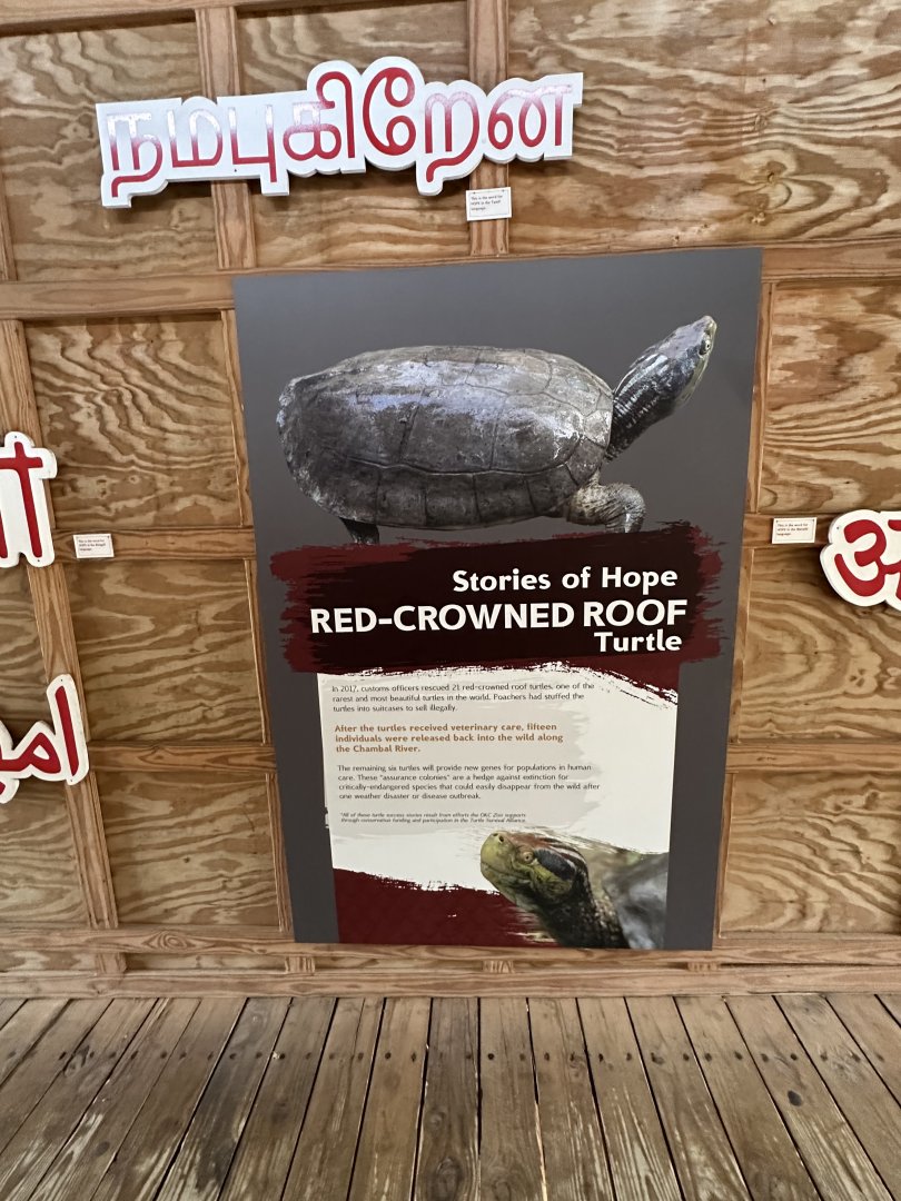 Sep. 2025 - Sanctuary Asia - “Stories of Hope” (5)