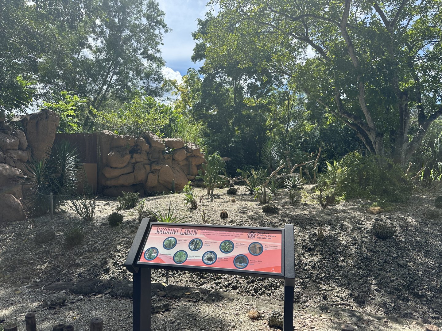 Sep. 2025 - Succulent Garden