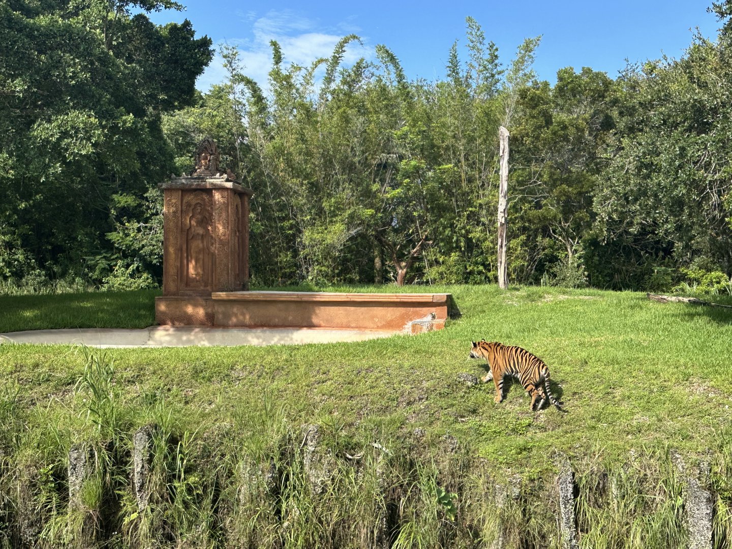 Sep. 2025 - Sumatran Tiger Enclosure