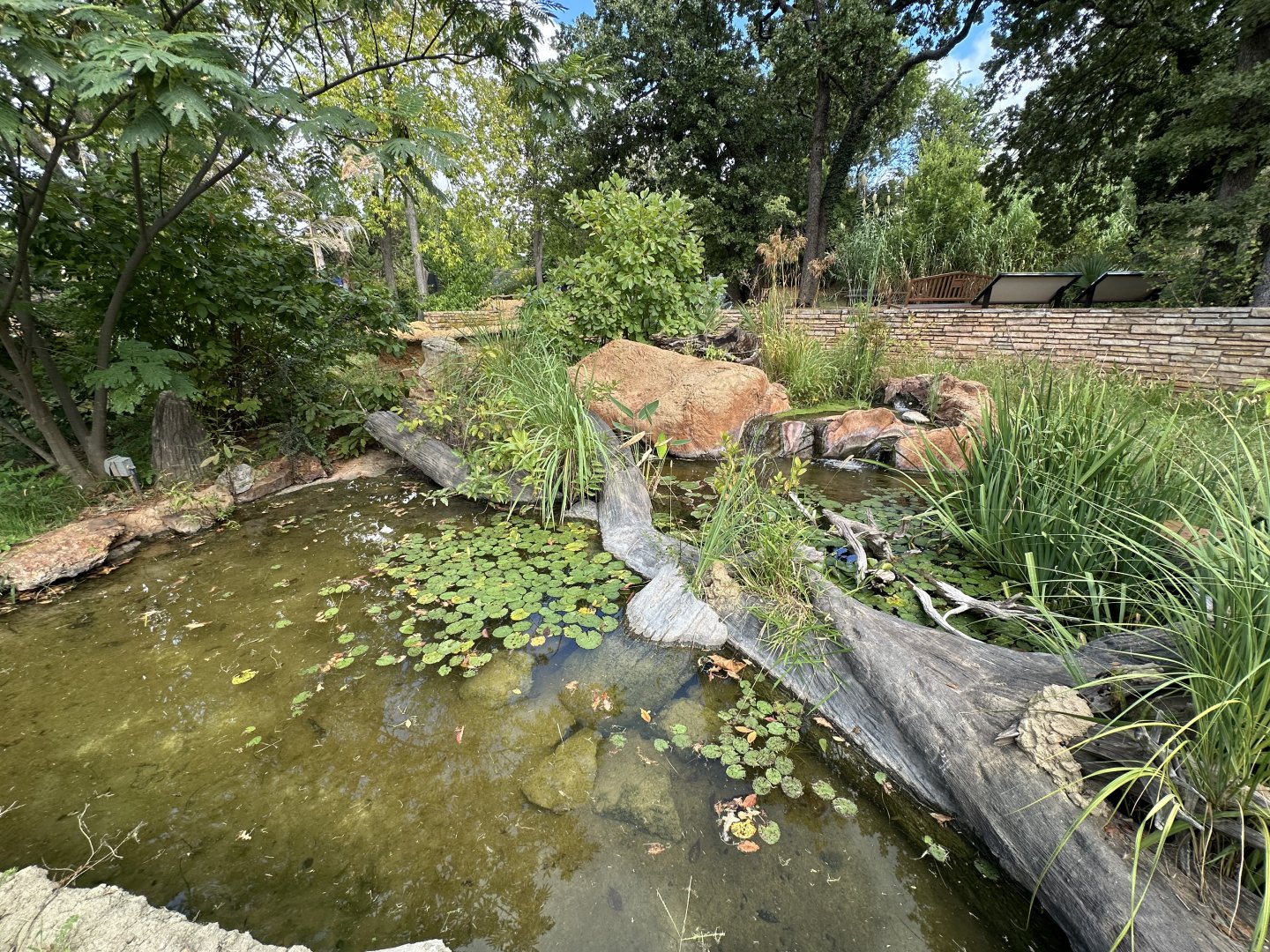 Sep. 2025 - Wetlands Walkway - Turtle Enclosure
