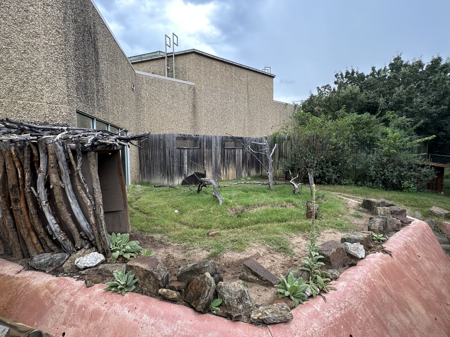 Sep. 2025 - Wild Life Trek - Collared Peccary Enclosure