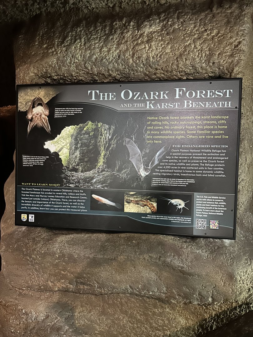 Sep. 2025 - Wild Life Trek - Ozark Signage