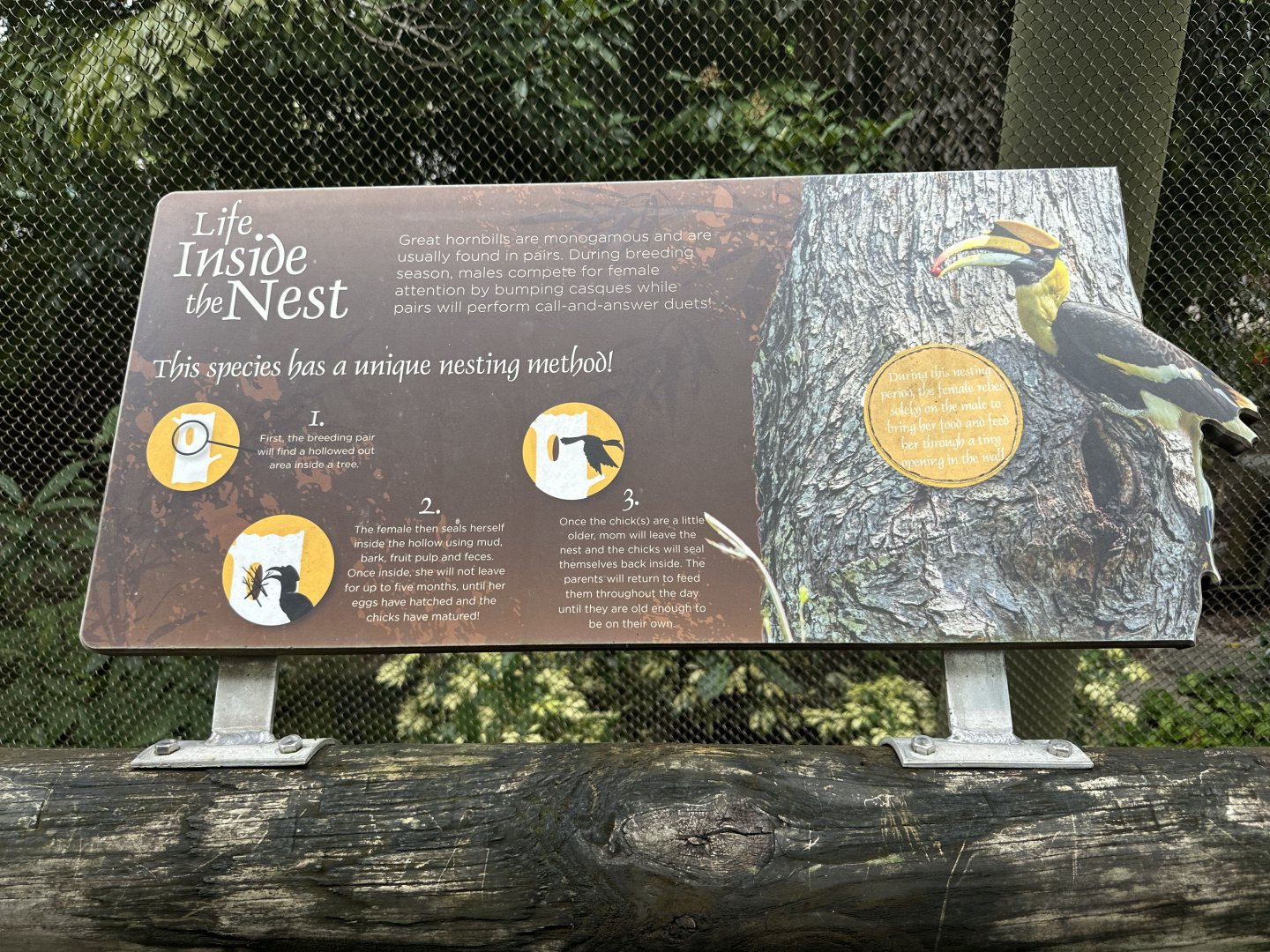 Sep. 2025 - Wings of Asia - Hornbill Signage