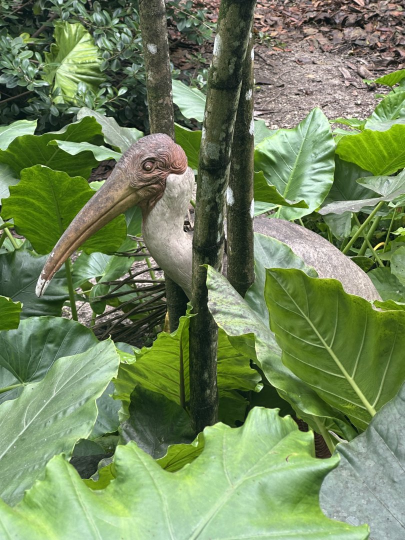 Sep. 2025 - Wings of Asia - Painted Stork Statue