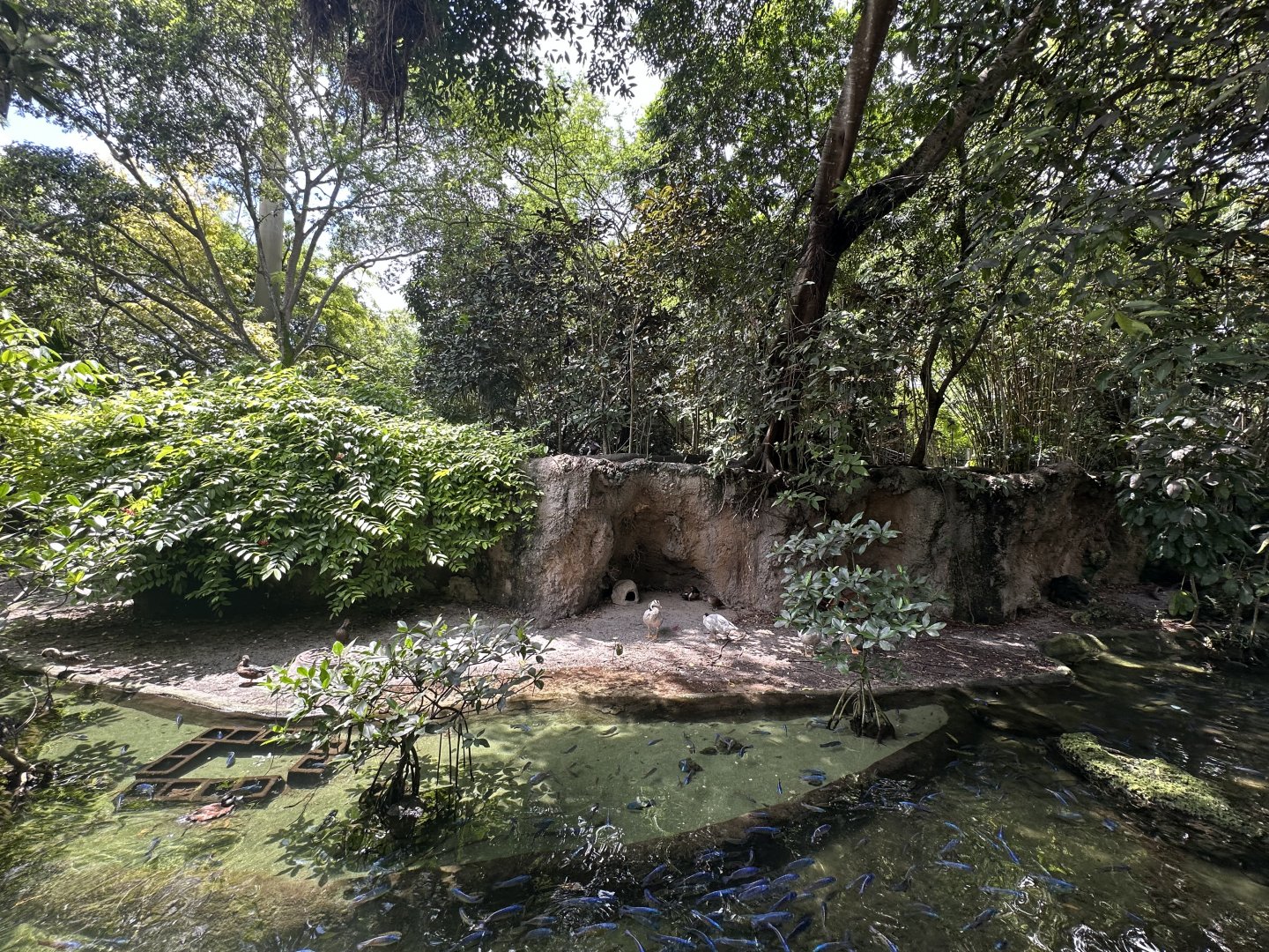 Sep. 2025 - Wings of Asia - Panorama 01