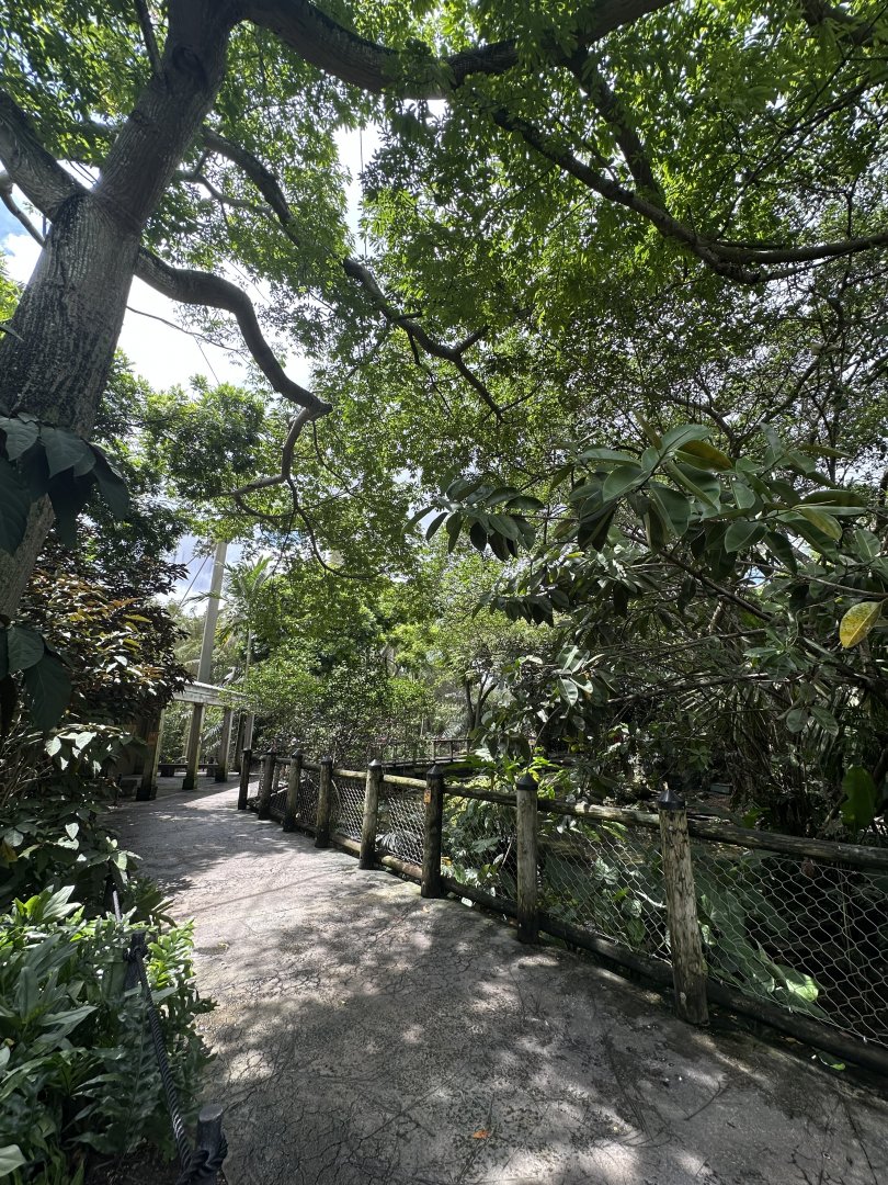 Sep. 2025 - Wings of Asia - Panorama 02