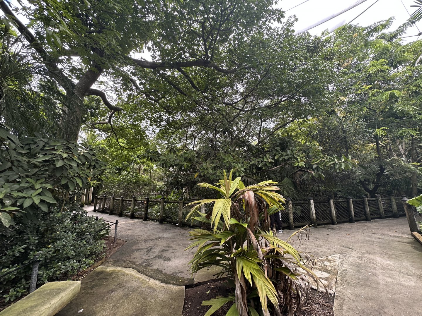 Sep. 2025 - Wings of Asia - Panorama 03