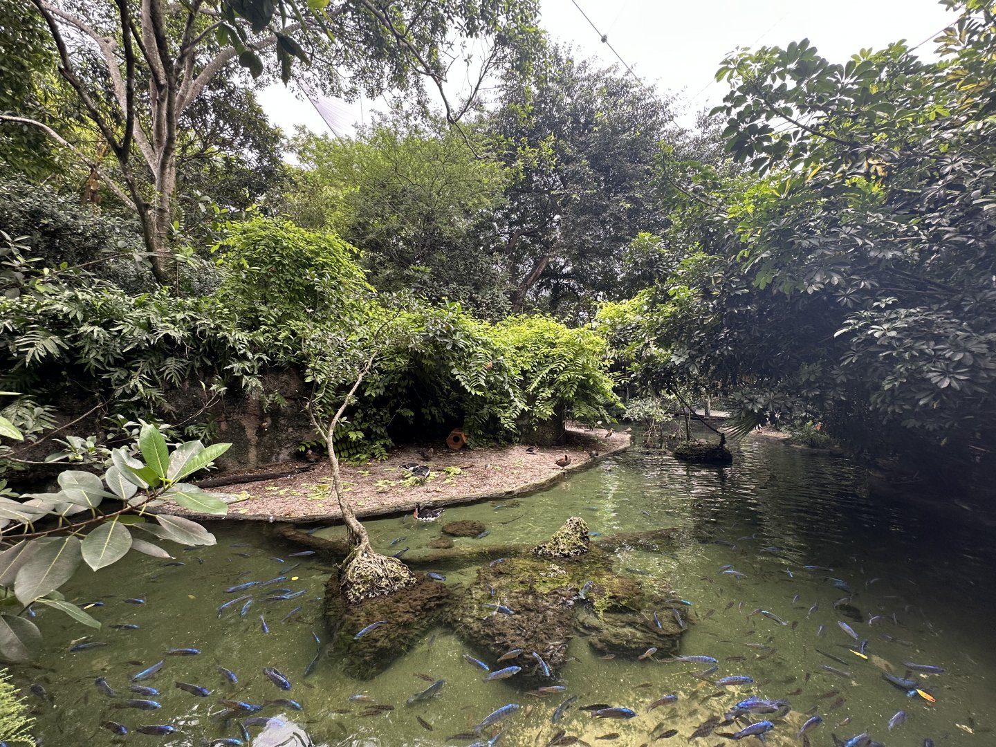 Sep. 2025 - Wings of Asia - Panorama 04