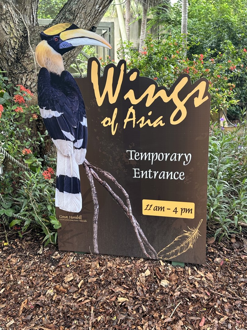 Sep. 2025 - Wings of Asia - (Temporary) Entry Signage