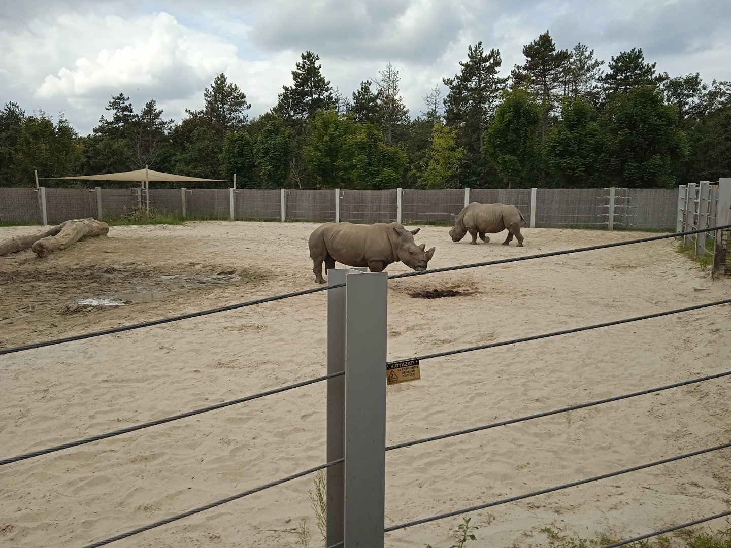 Separate rhino exhibit