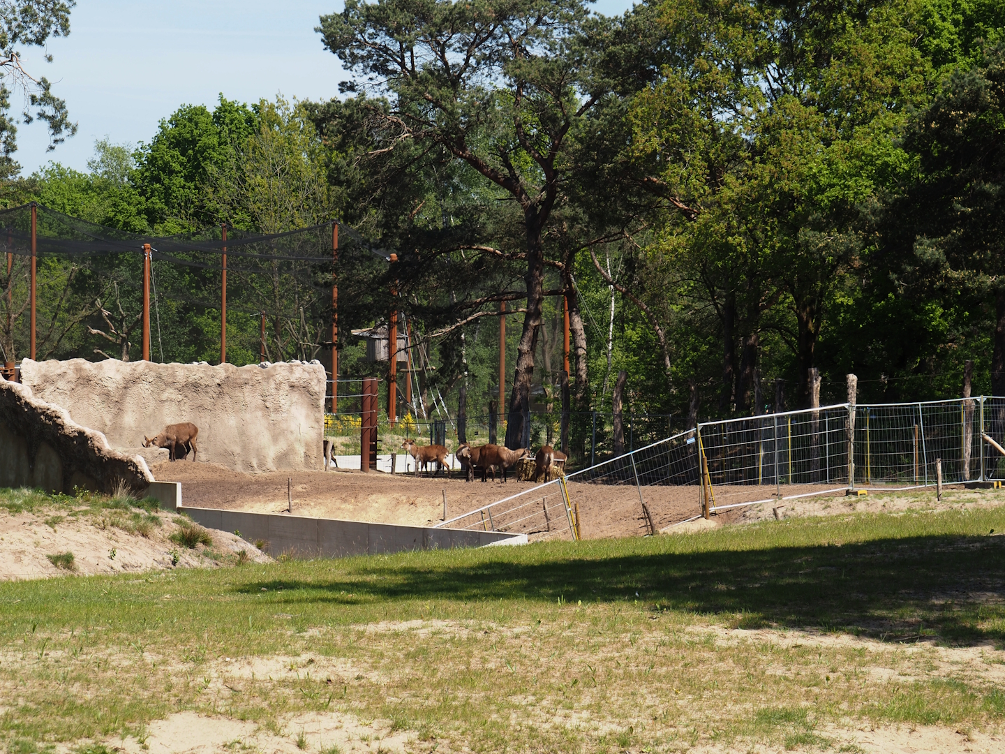 Separated area for Defassa waterbucks and Nile lechwes next to the elephant valley, 2025-04-30