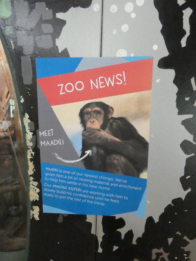 Separated chimp signage