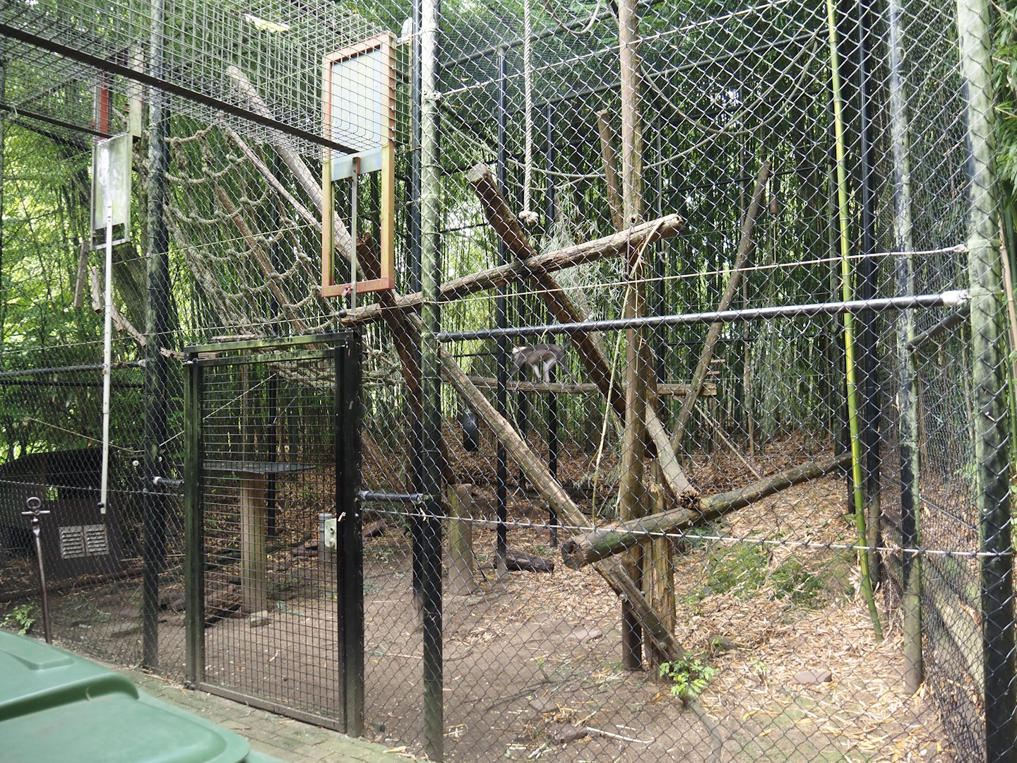 Separation cage for Lion-tailed macaques or Collared mangabeys, 2024-08-18