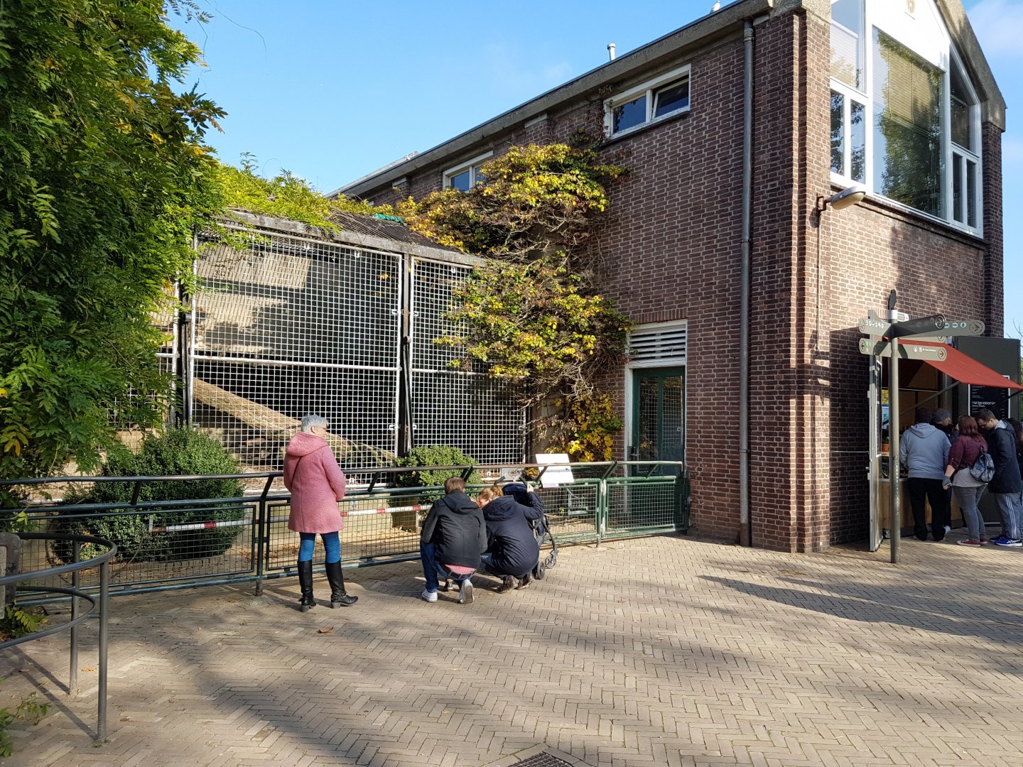 Separation-cage Lion