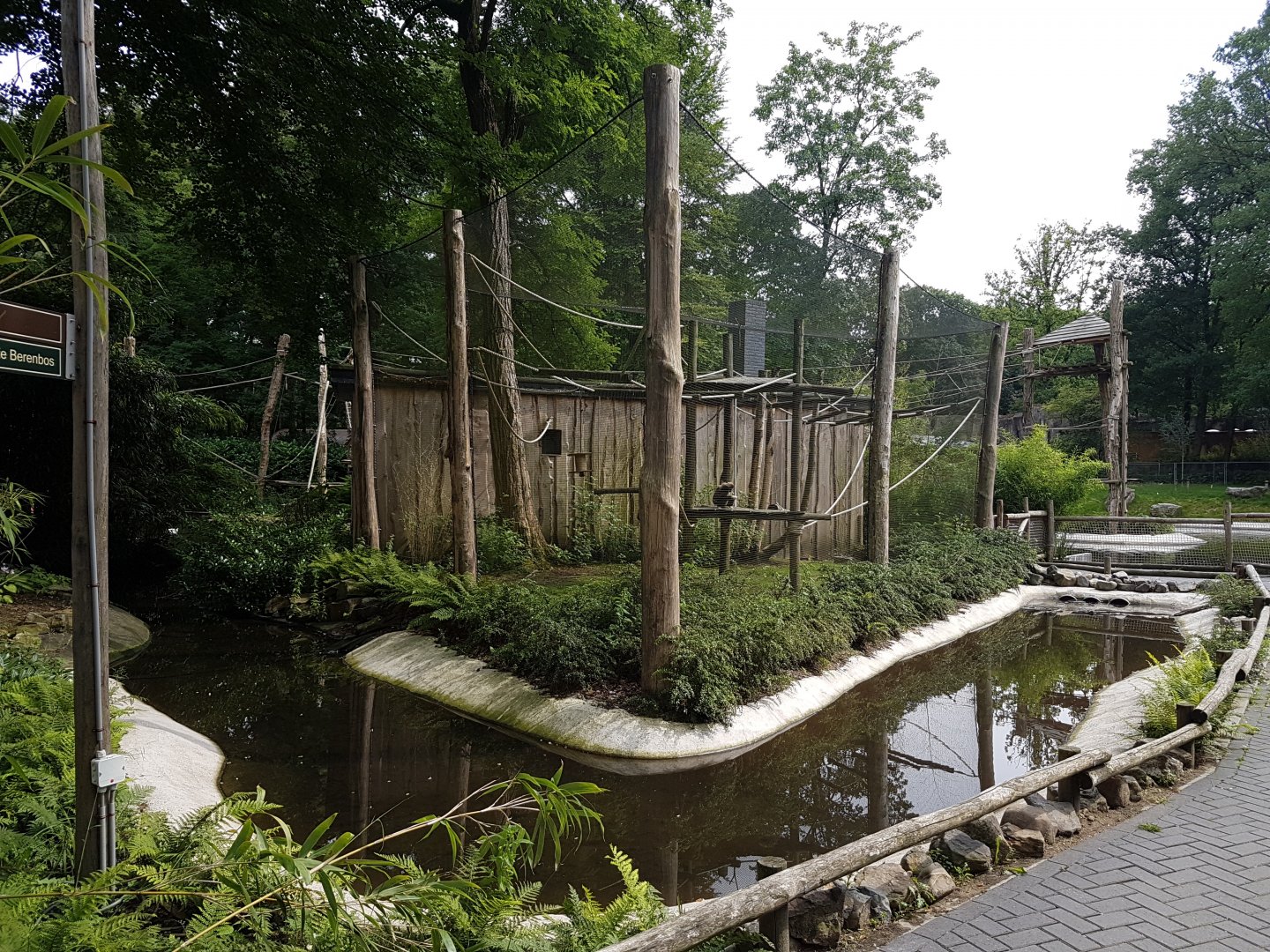 Separation-enclosure Gibbon