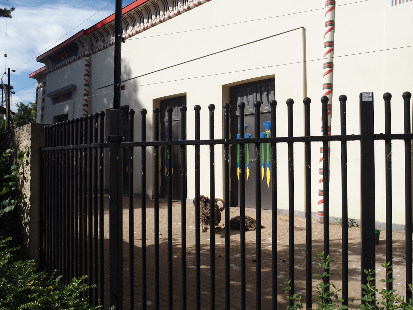 Separation exhibit next to the giraffe exhibit, on the aviary side of the Egyptian Temple, currently home to juvenile ostriches, 2025-07-21