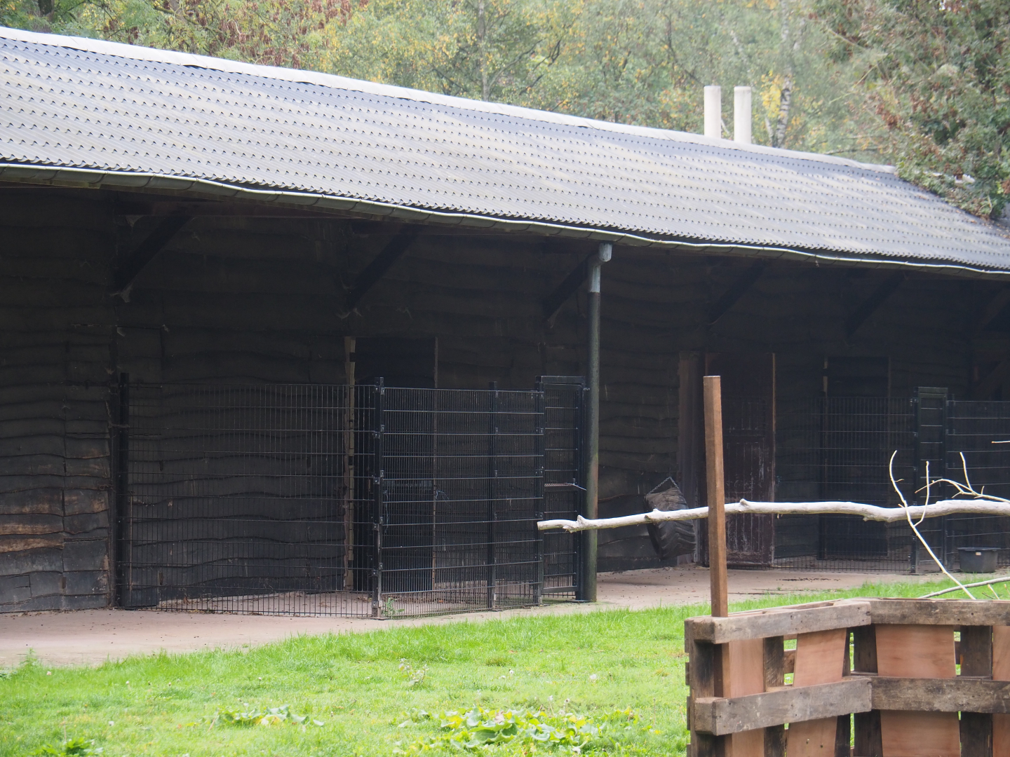 Separations pens next to the antelope house, 2020-10-19