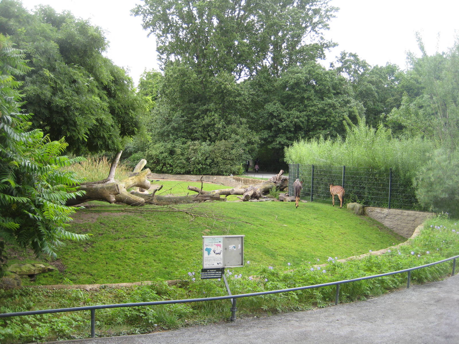 Seperate Exhibit for Nyalas