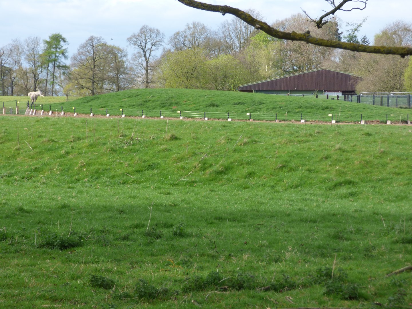 Seperated Part of Antelope Paddock