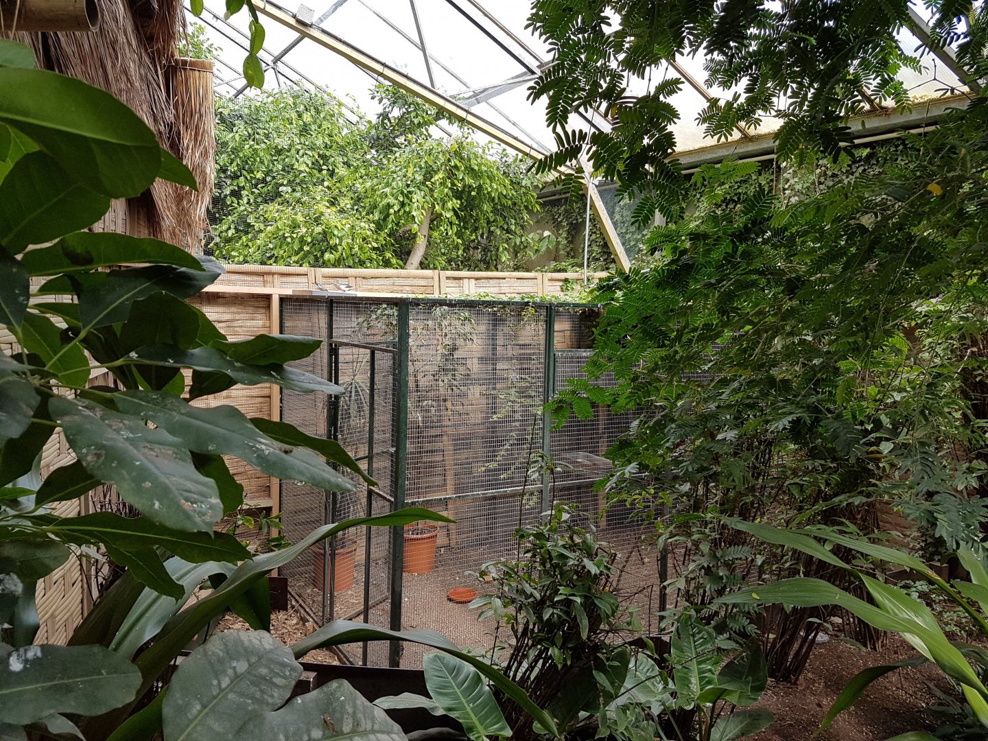 Seperation-aviary Pantanal