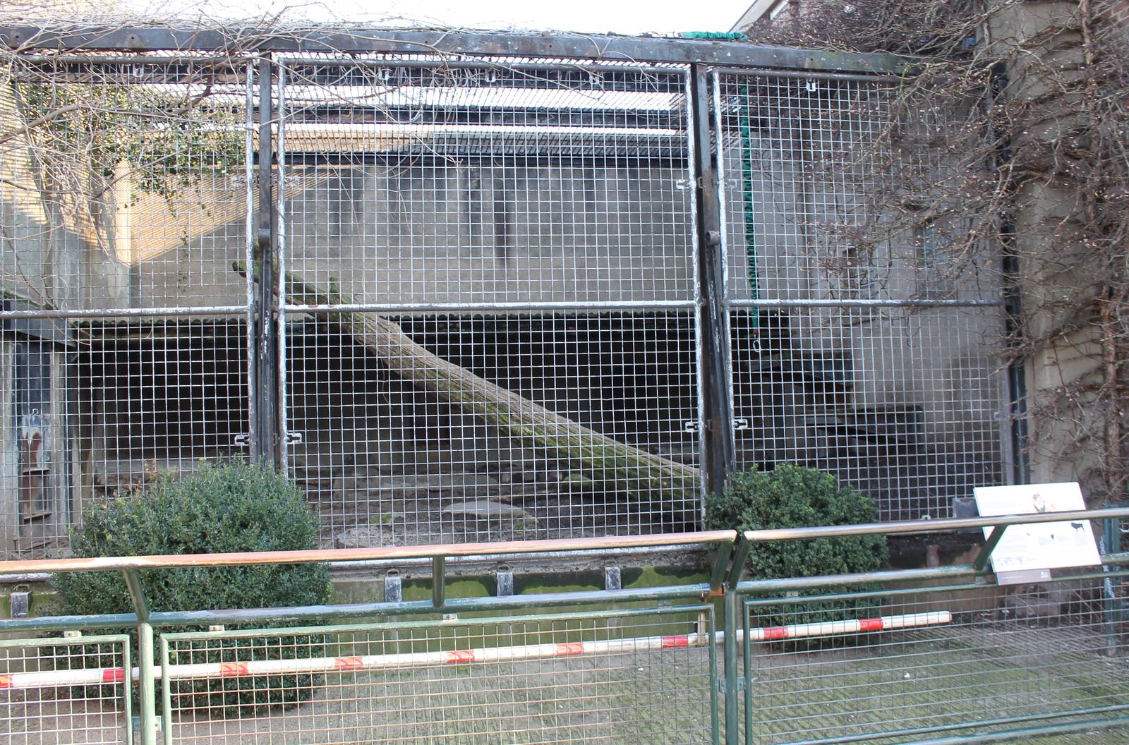 Seperation cage Lions