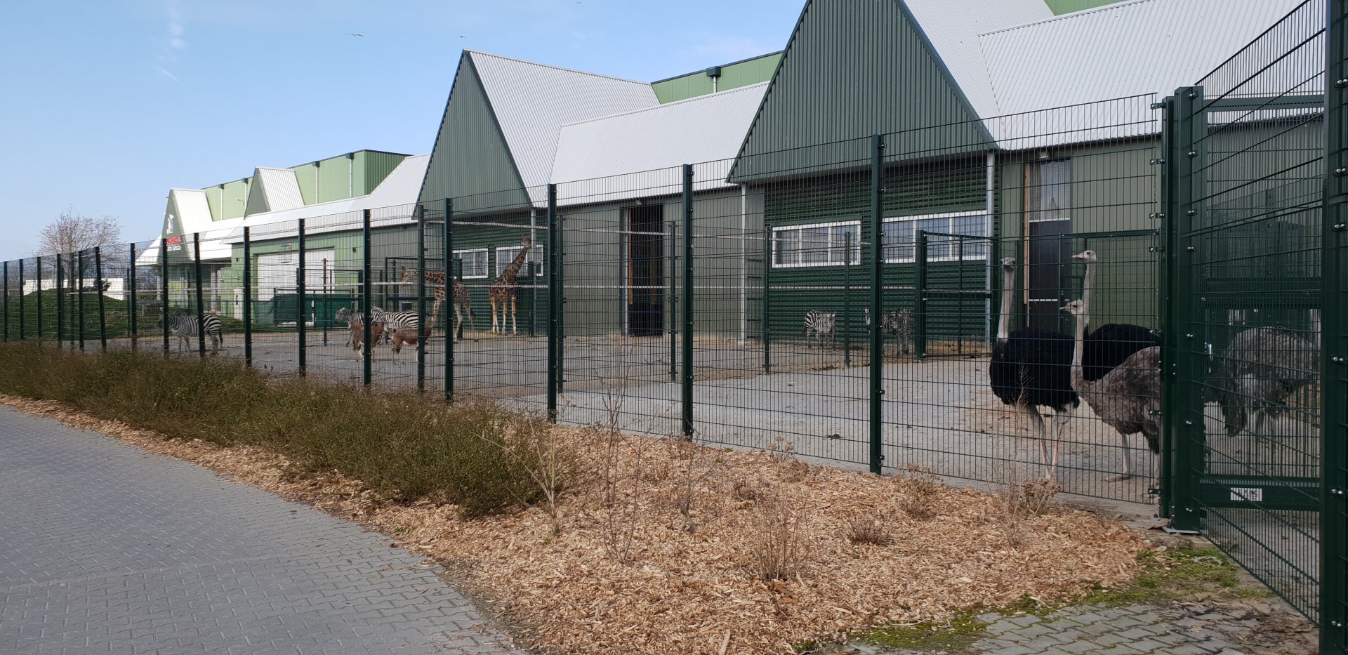 Seperation-enclosures African Savanna