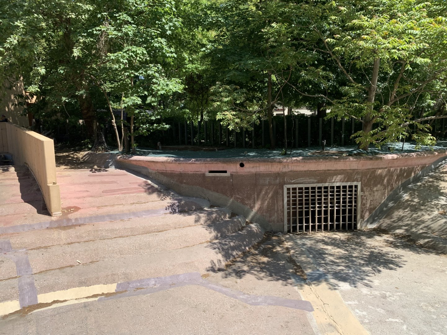 Seperation for future pygmy hippo enclosure