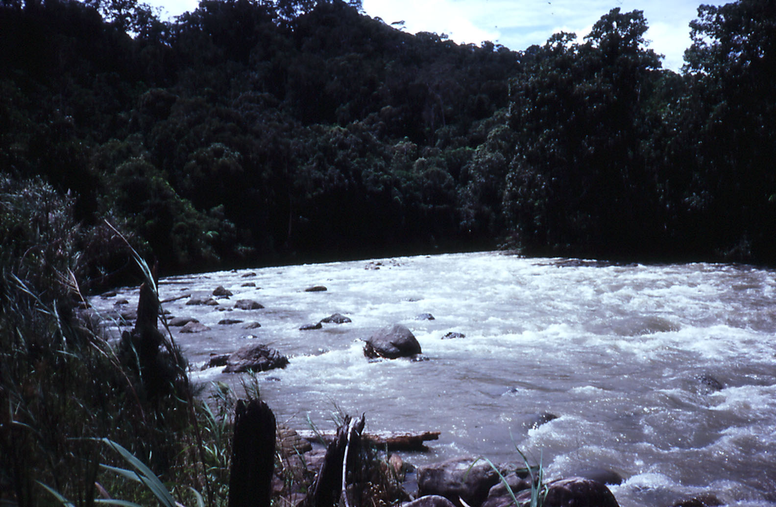 Sepik River - Telefolip, West Sepik, PNG
