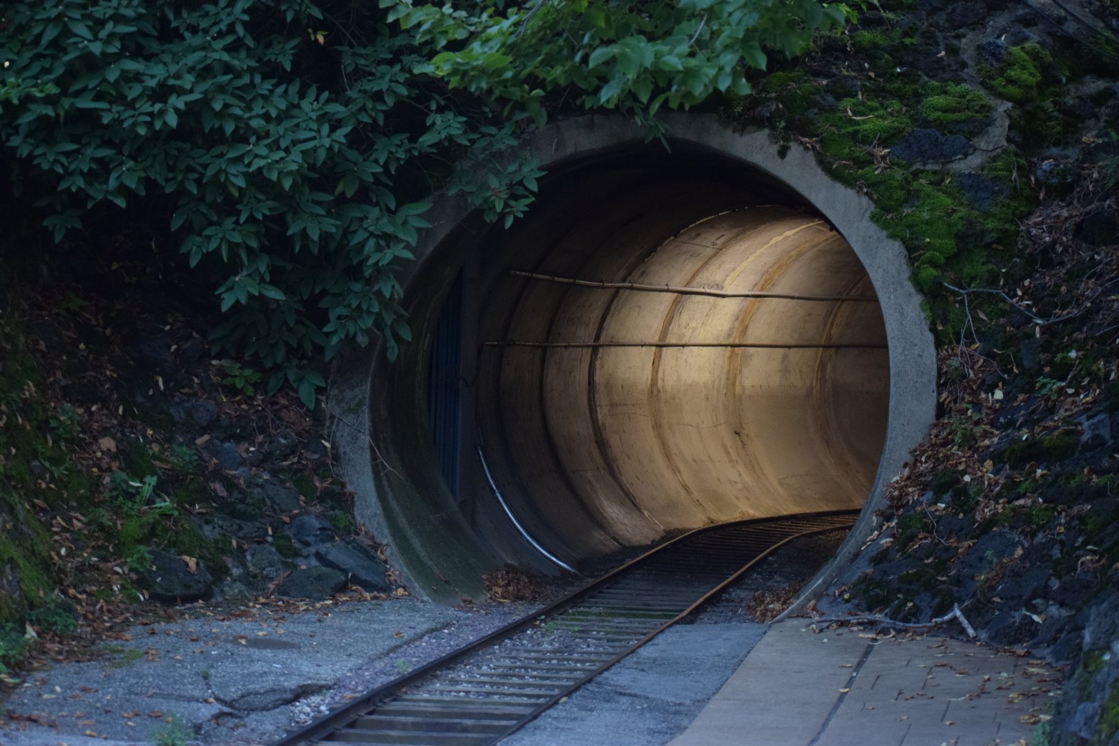 [September 2019] Zooline Railroad tunnel from Red Rocks Station