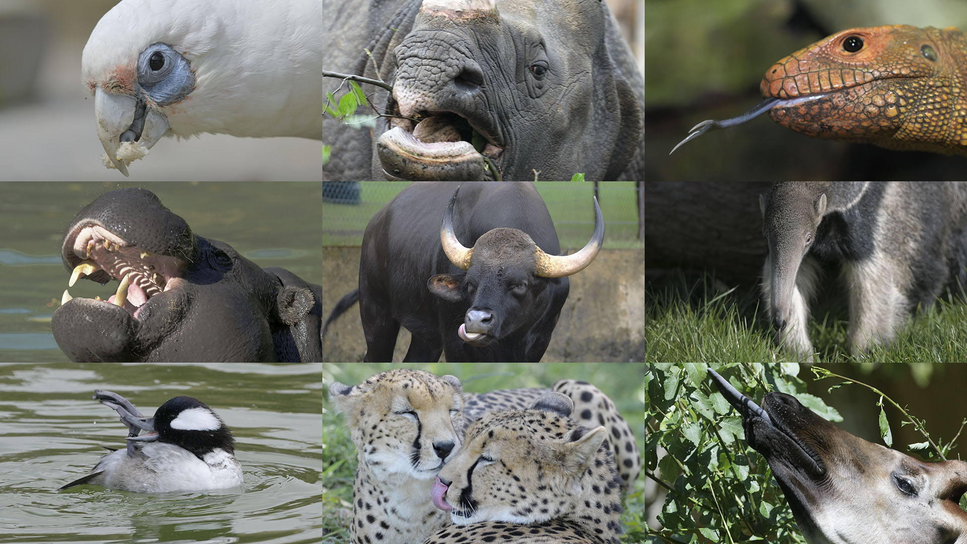 September Photo Quiz Expanded Images