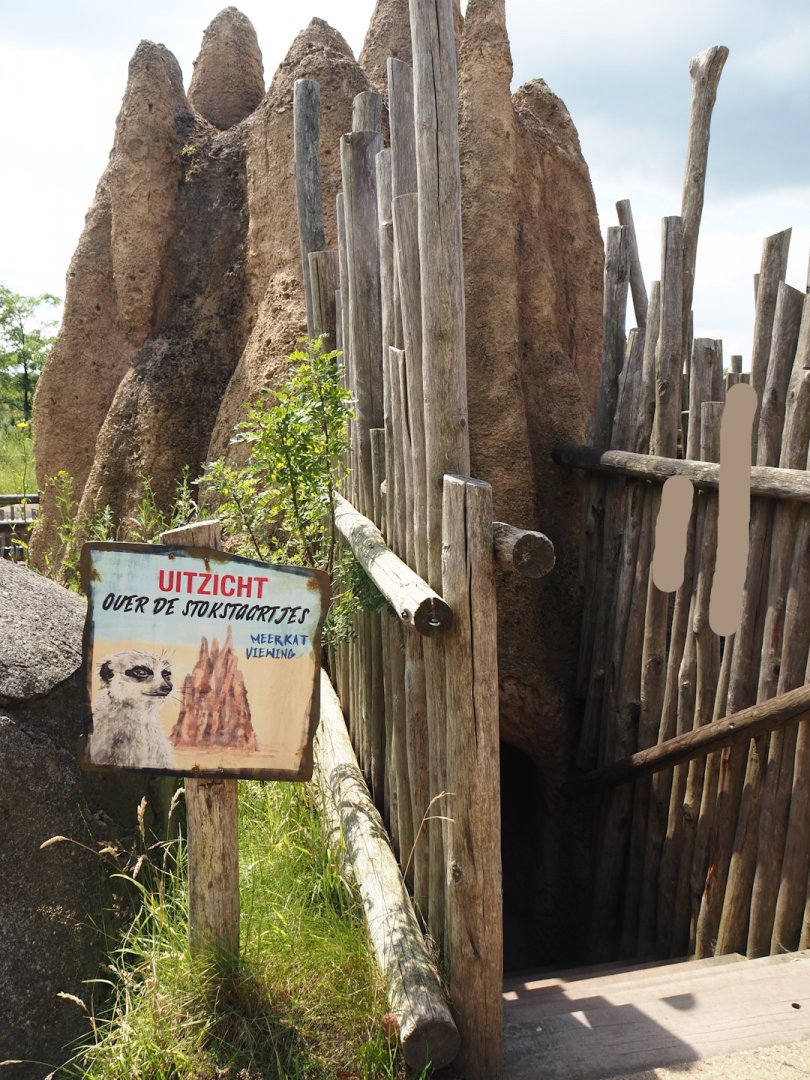 Serenga - Access to lower meerkat viewing area underneath fake termite mound, 2024-06-23