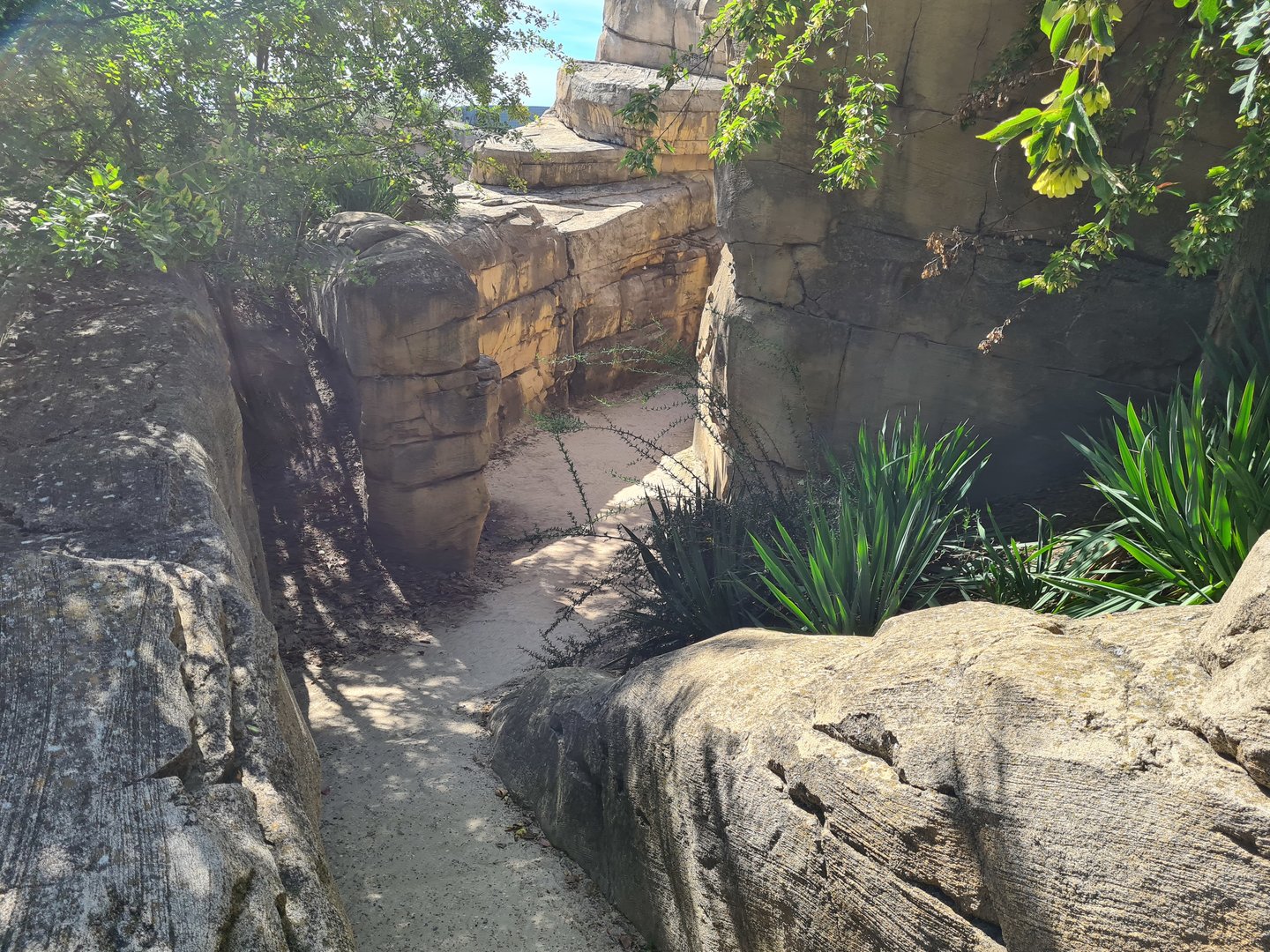 Serenga - Adventure path to Hippo viewing area