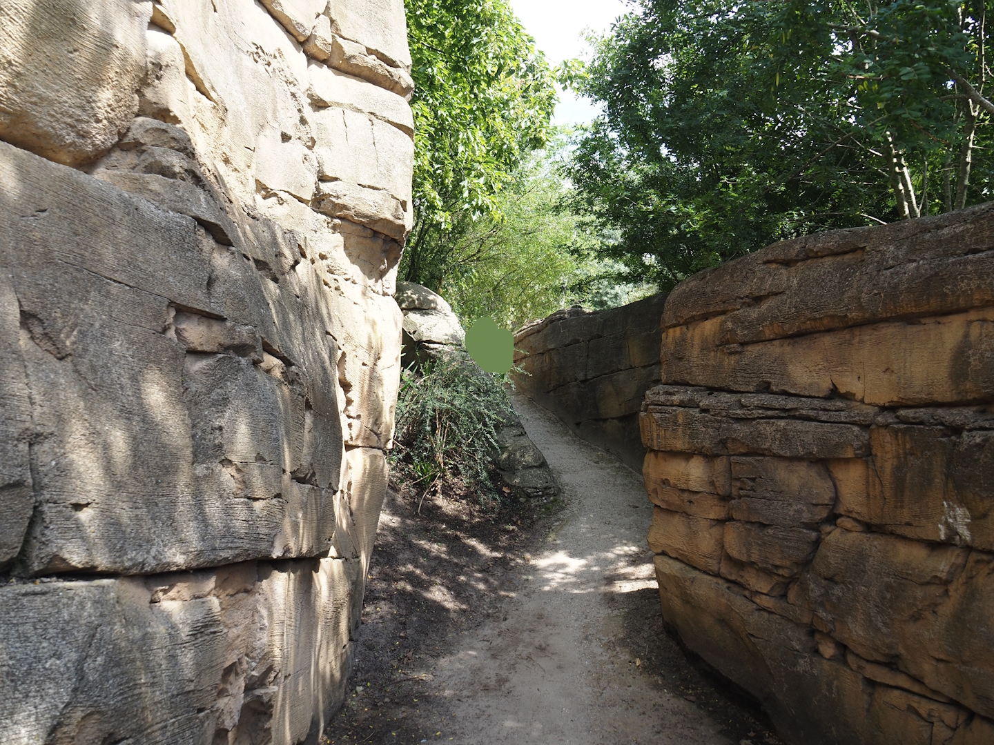 Serenga - Adventure route near hippopotamus exhibit, 2024-06-23