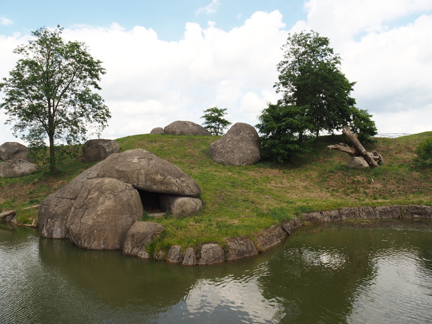 Serenga - African lion exhibit, 2024-06-23