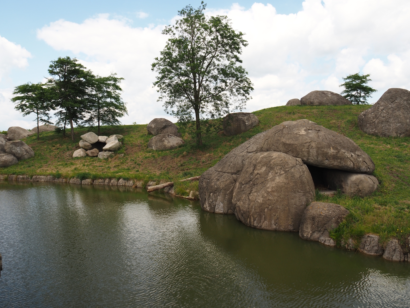 Serenga - African lion exhibit, 2024-06-23