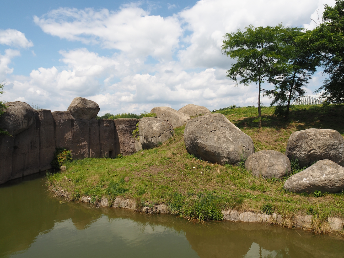 Serenga - African lion exhibit, 2024-06-23