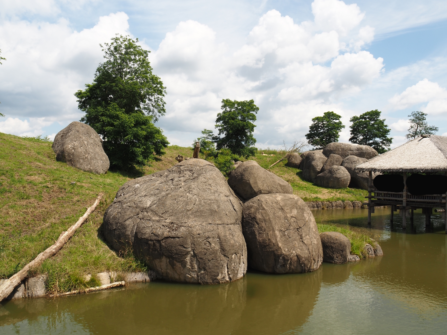 Serenga - African lion exhibit and viewing hut, 2024-06-23