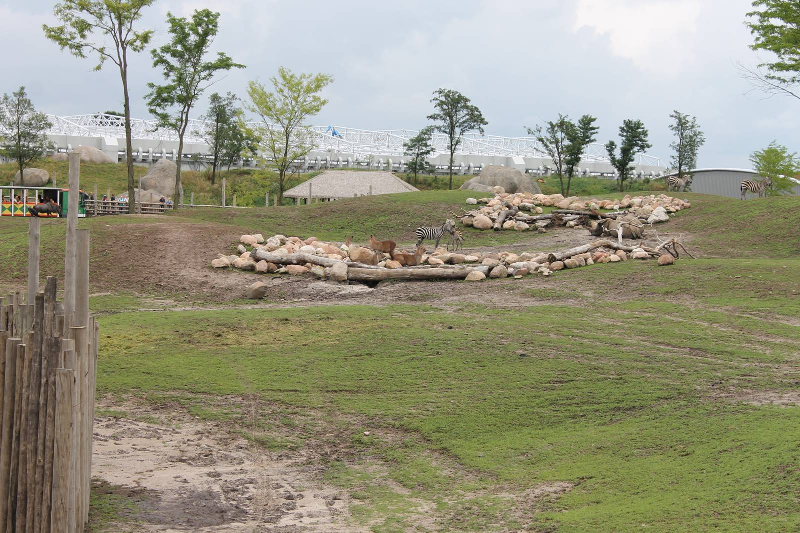 SERENGA : African plain