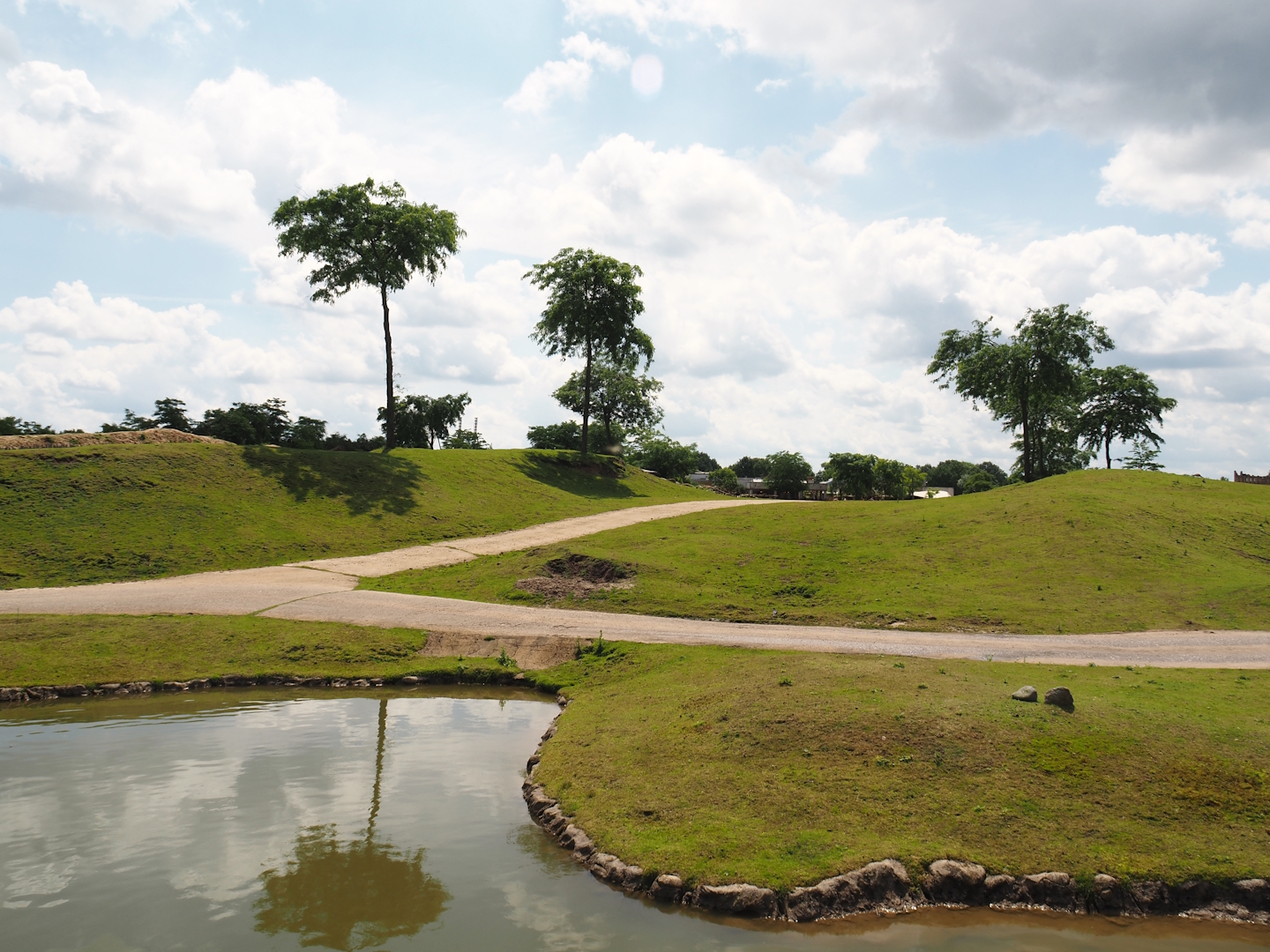Serenga - African savanna exhibit, 2024-06-23