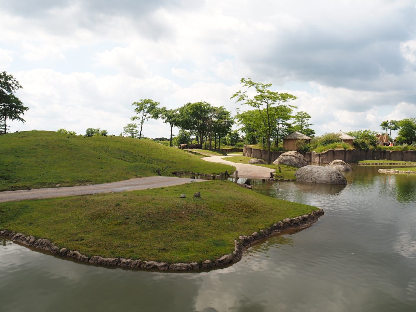 Serenga - African savanna exhibit, 2024-06-23