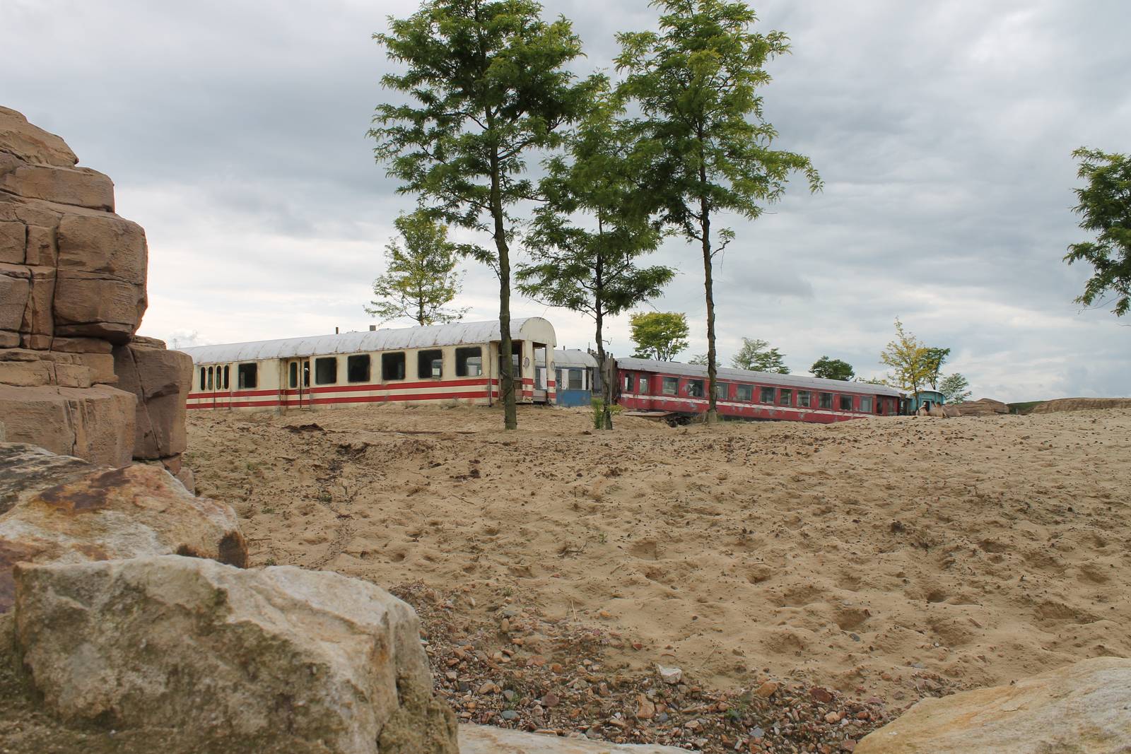 SERENGA - Asian plain