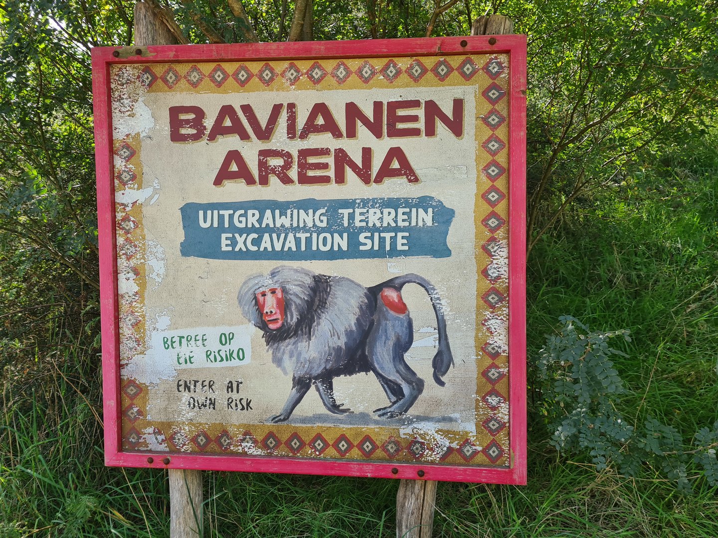 Serenga - Baboon arena signage