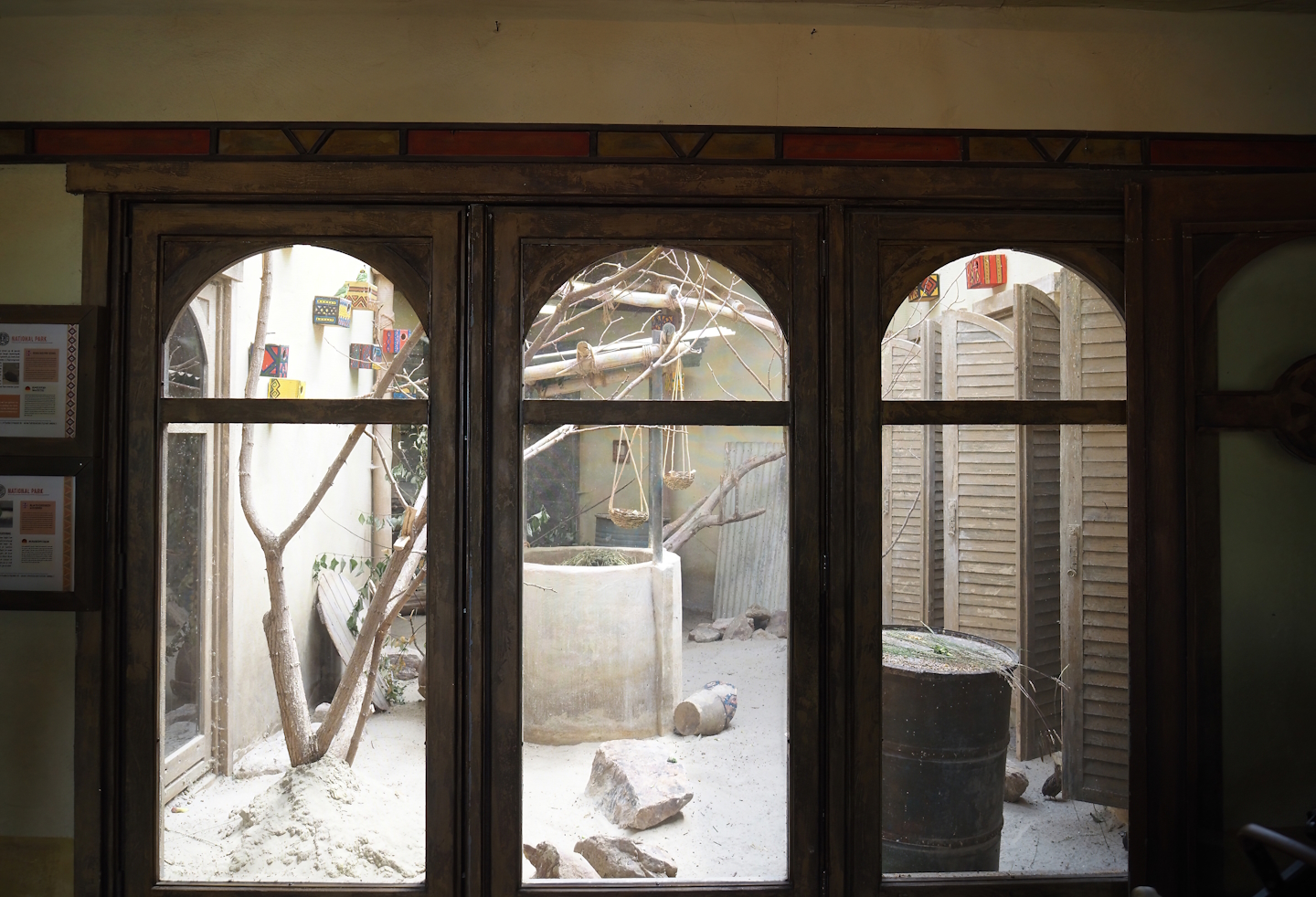 Serenga - Black-cheeked lovebird and Harlequin quail aviary inside Momma's Restaurant, 2024-06-23