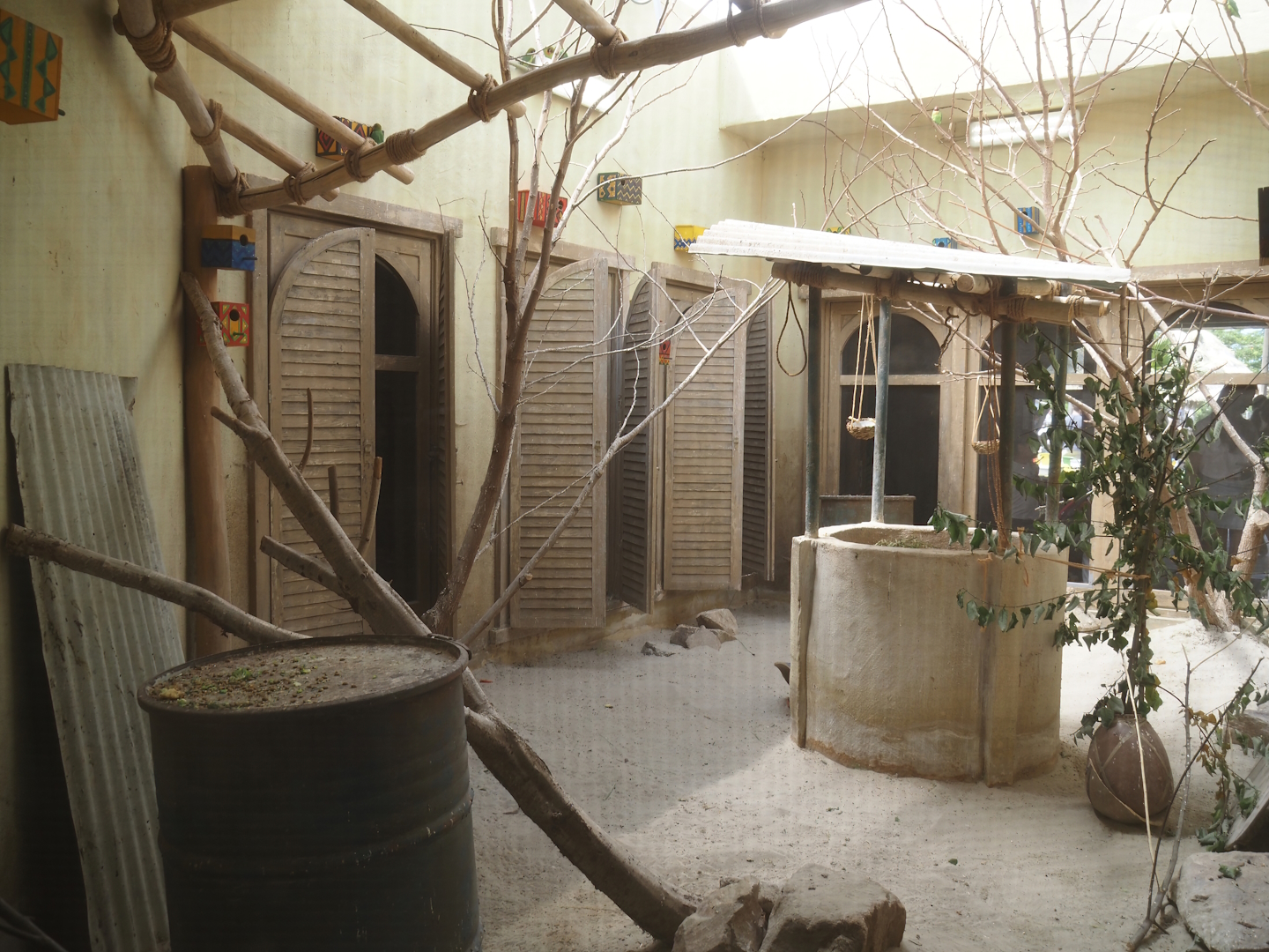 Serenga - Black-cheeked lovebird and Harlequin quail aviary inside Momma's Restaurant, 2024-06-23