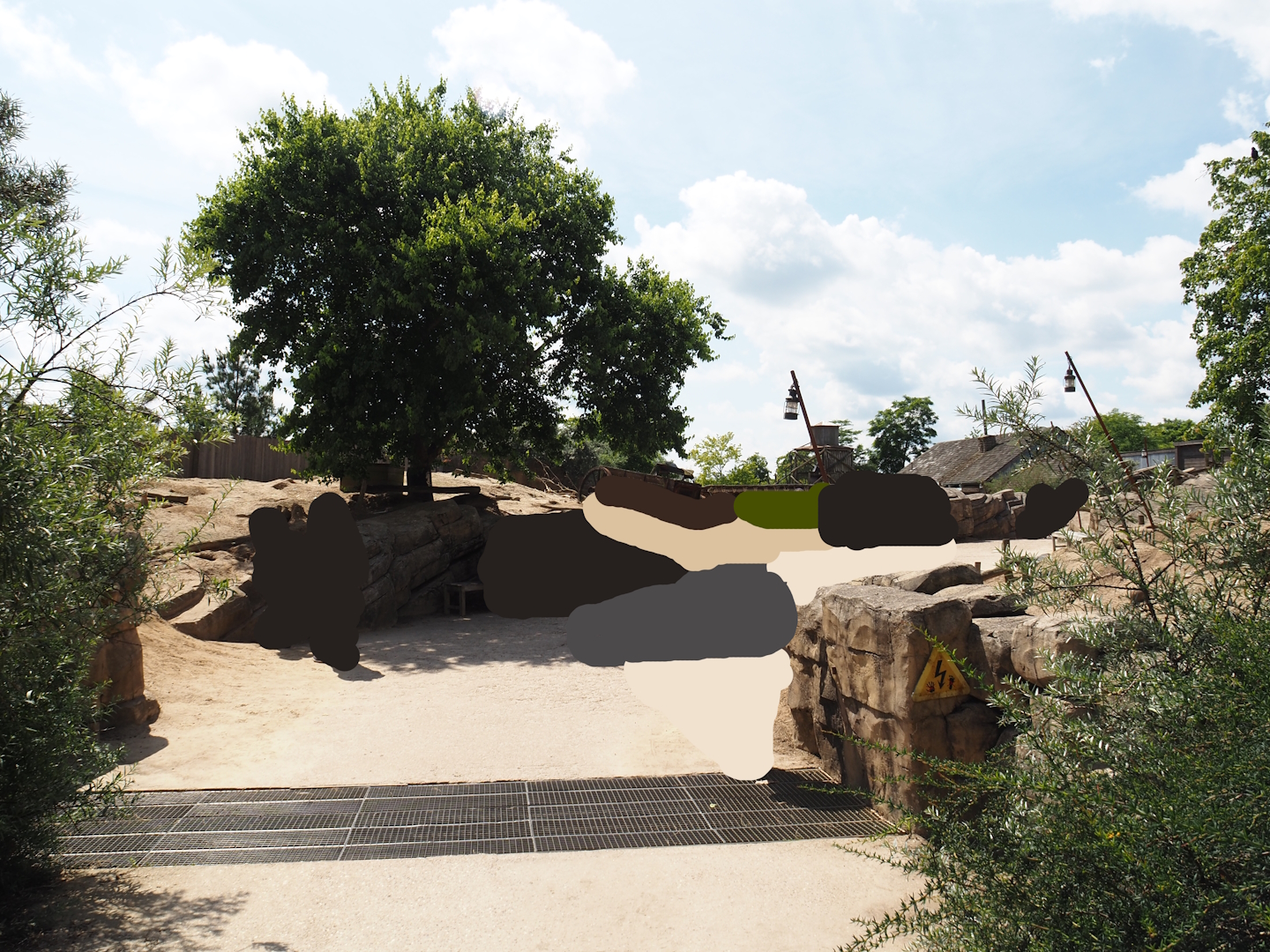 Serenga - Black-tailed prairie dog walk-through exhibit, 2024-06-23