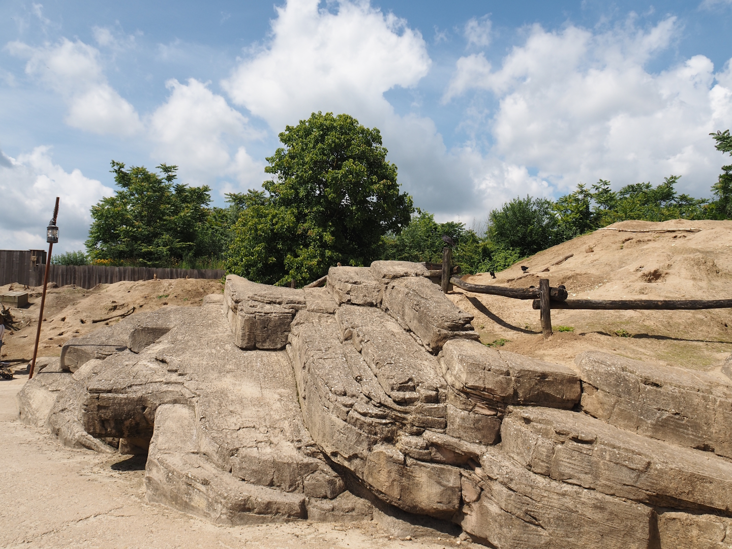 Serenga - Black-tailed prairie dog walk-through exhibit, 2024-06-23
