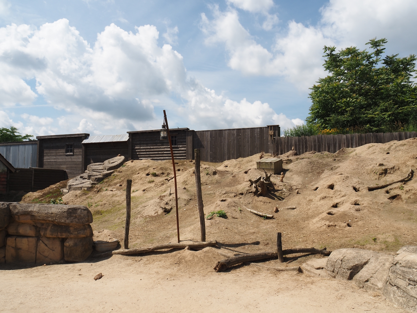 Serenga - Black-tailed prairie dog walk-through exhibit, 2024-06-23